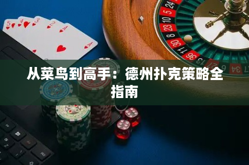 从菜鸟到高手：德州扑克策略全指南