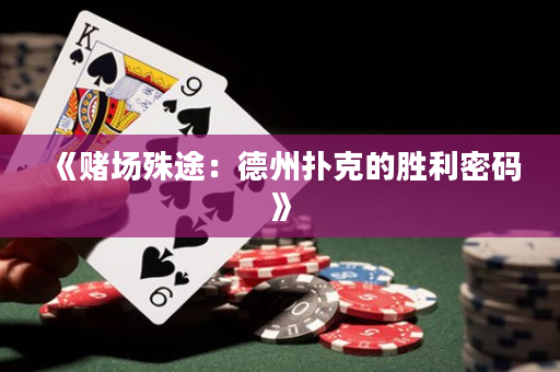 《赌场殊途：德州扑克的胜利密码》