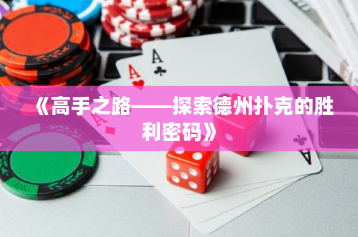 《高手之路——探索德州扑克的胜利密码》