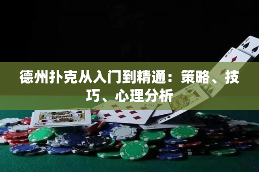 德州扑克从入门到精通：策略、技巧、心理分析