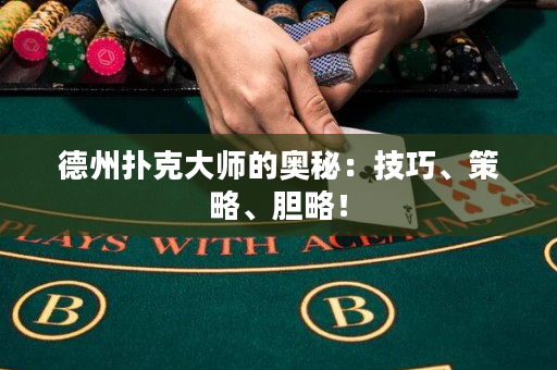 德州扑克大师的奥秘：技巧、策略、胆略！