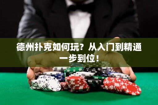 德州扑克如何玩？从入门到精通一步到位！