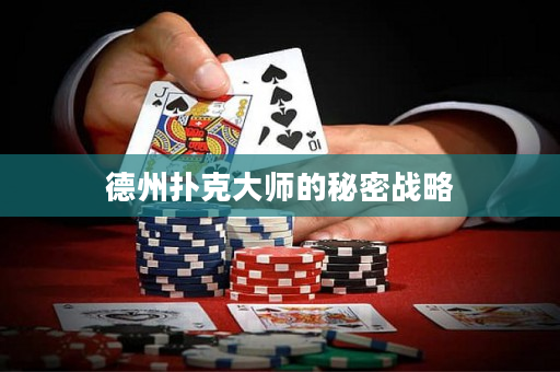 德州扑克大师的秘密战略