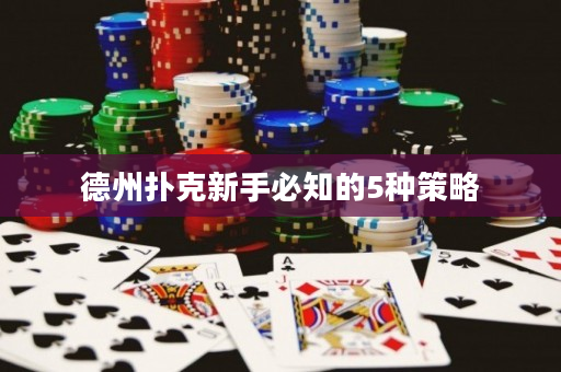 德州扑克新手必知的5种策略