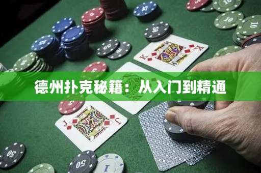 德州扑克秘籍：从入门到精通
