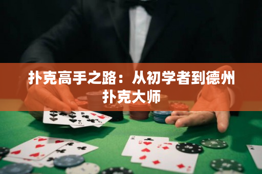 扑克高手之路：从初学者到德州扑克大师