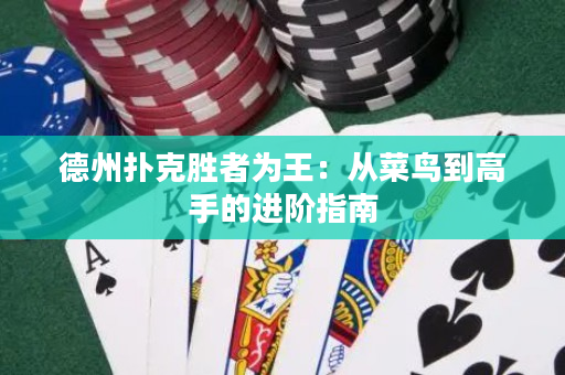 德州扑克胜者为王：从菜鸟到高手的进阶指南