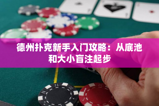 德州扑克新手入门攻略：从底池和大小盲注起步