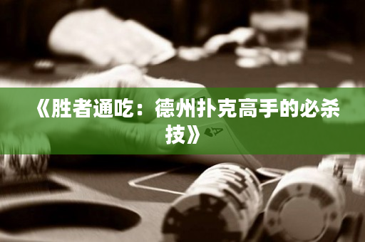 《胜者通吃：德州扑克高手的必杀技》