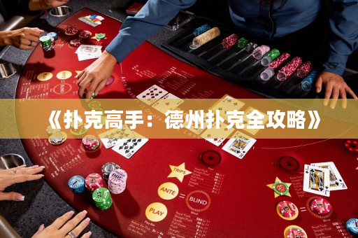《扑克高手：德州扑克全攻略》