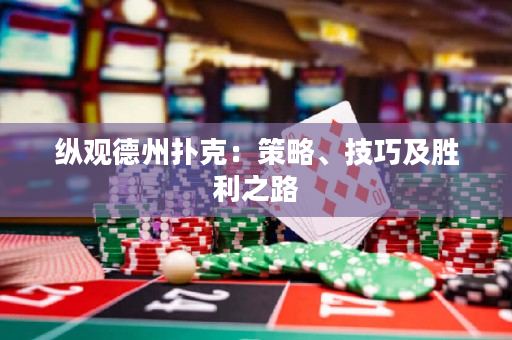纵观德州扑克：策略、技巧及胜利之路
