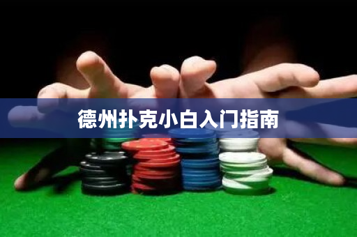 德州扑克小白入门指南