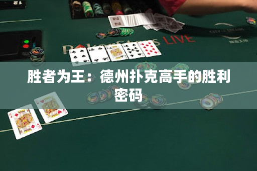 胜者为王：德州扑克高手的胜利密码