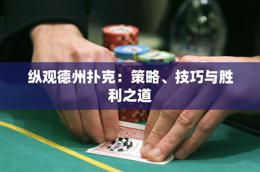 纵观德州扑克：策略、技巧与胜利之道