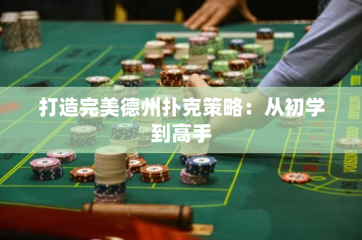 打造完美德州扑克策略：从初学到高手
