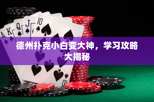 德州扑克小白变大神，学习攻略大揭秘