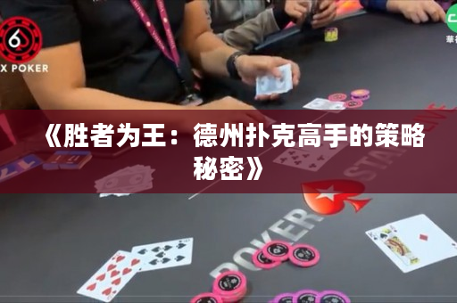 《胜者为王：德州扑克高手的策略秘密》