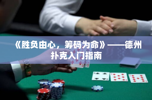 《胜负由心，筹码为命》——德州扑克入门指南