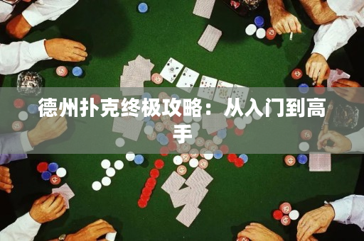 德州扑克终极攻略：从入门到高手