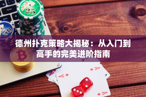 德州扑克策略大揭秘：从入门到高手的完美进阶指南