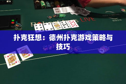 扑克狂想：德州扑克游戏策略与技巧