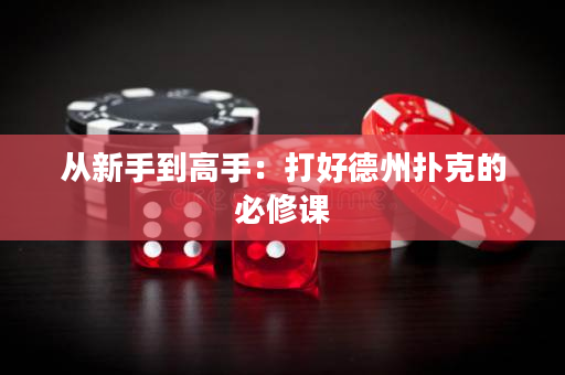 从新手到高手：打好德州扑克的必修课