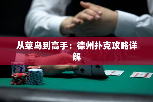 从菜鸟到高手：德州扑克攻略详解