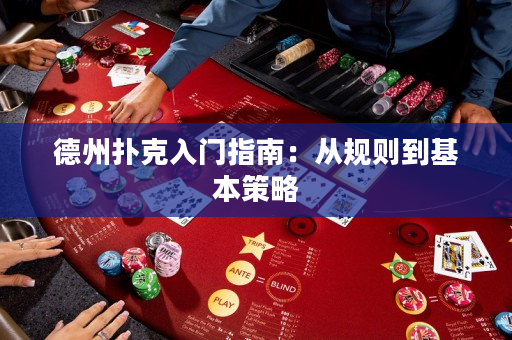 德州扑克入门指南：从规则到基本策略