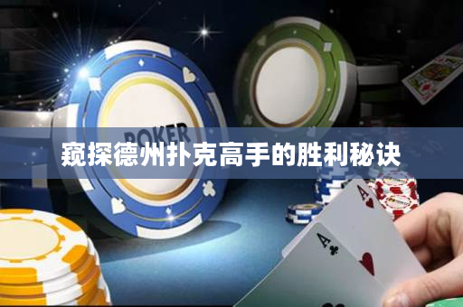 窥探德州扑克高手的胜利秘诀