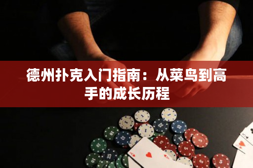 德州扑克入门指南：从菜鸟到高手的成长历程