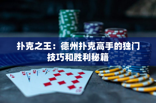 扑克之王：德州扑克高手的独门技巧和胜利秘籍