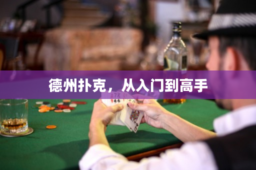 德州扑克，从入门到高手