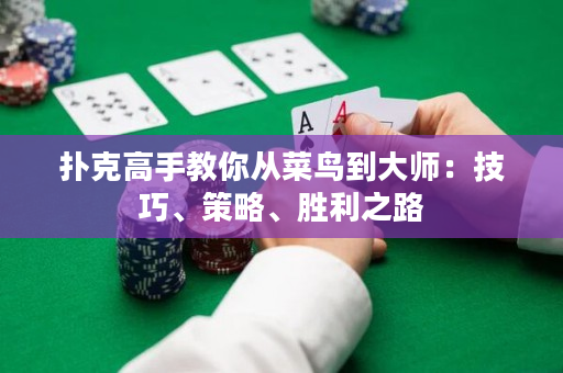 扑克高手教你从菜鸟到大师：技巧、策略、胜利之路