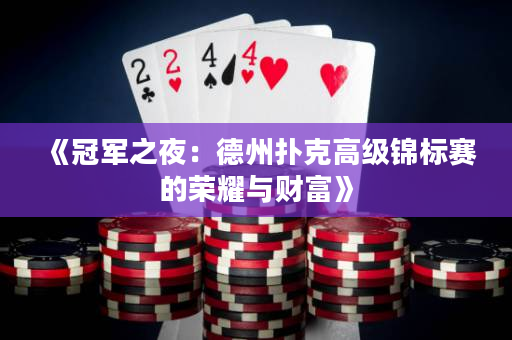 《冠军之夜：德州扑克高级锦标赛的荣耀与财富》