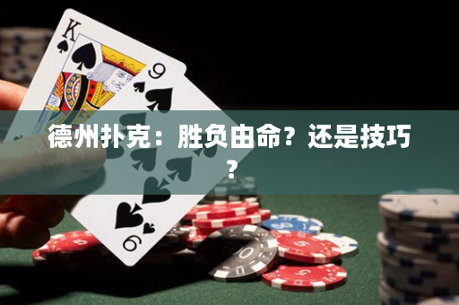 德州扑克：胜负由命？还是技巧？