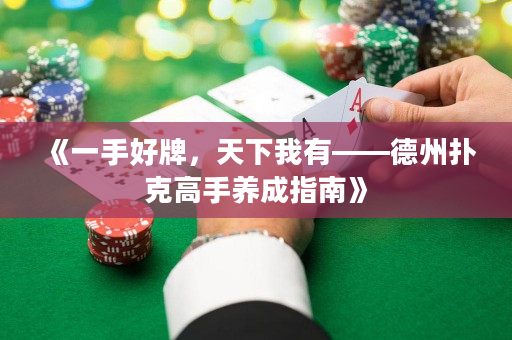 《一手好牌，天下我有——德州扑克高手养成指南》