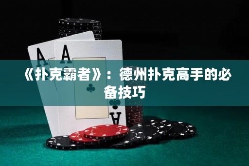 《扑克霸者》：德州扑克高手的必备技巧