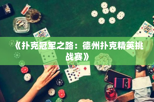 《扑克冠军之路：德州扑克精英挑战赛》