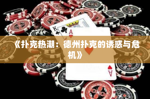 《扑克热潮：德州扑克的诱惑与危机》