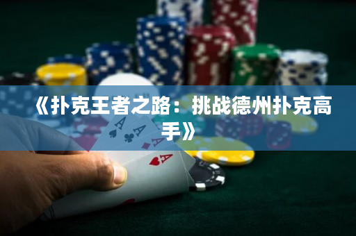 《扑克王者之路：挑战德州扑克高手》