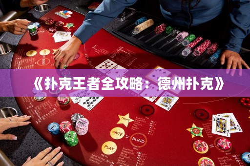 《扑克王者全攻略：德州扑克》