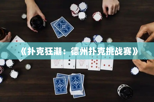 《扑克狂潮：德州扑克挑战赛》