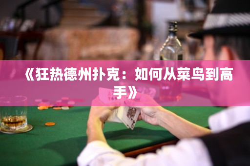 《狂热德州扑克：如何从菜鸟到高手》