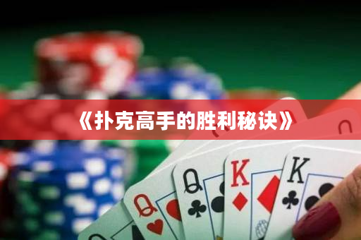 《扑克高手的胜利秘诀》