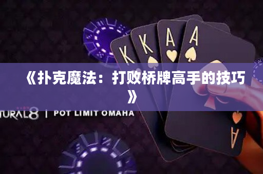 《扑克魔法：打败桥牌高手的技巧》