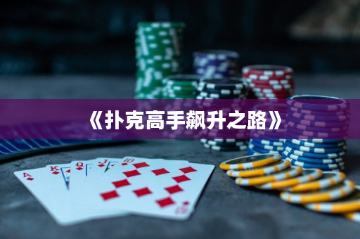 《扑克高手飙升之路》