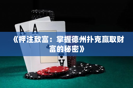 《押注致富：掌握德州扑克赢取财富的秘密》