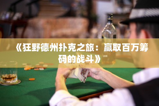 《狂野德州扑克之旅：赢取百万筹码的战斗》