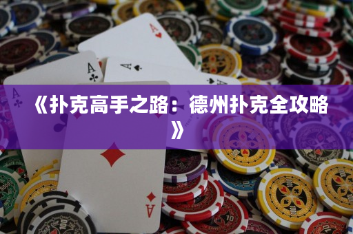 《扑克高手之路：德州扑克全攻略》