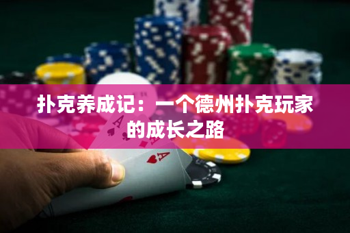 扑克养成记：一个德州扑克玩家的成长之路